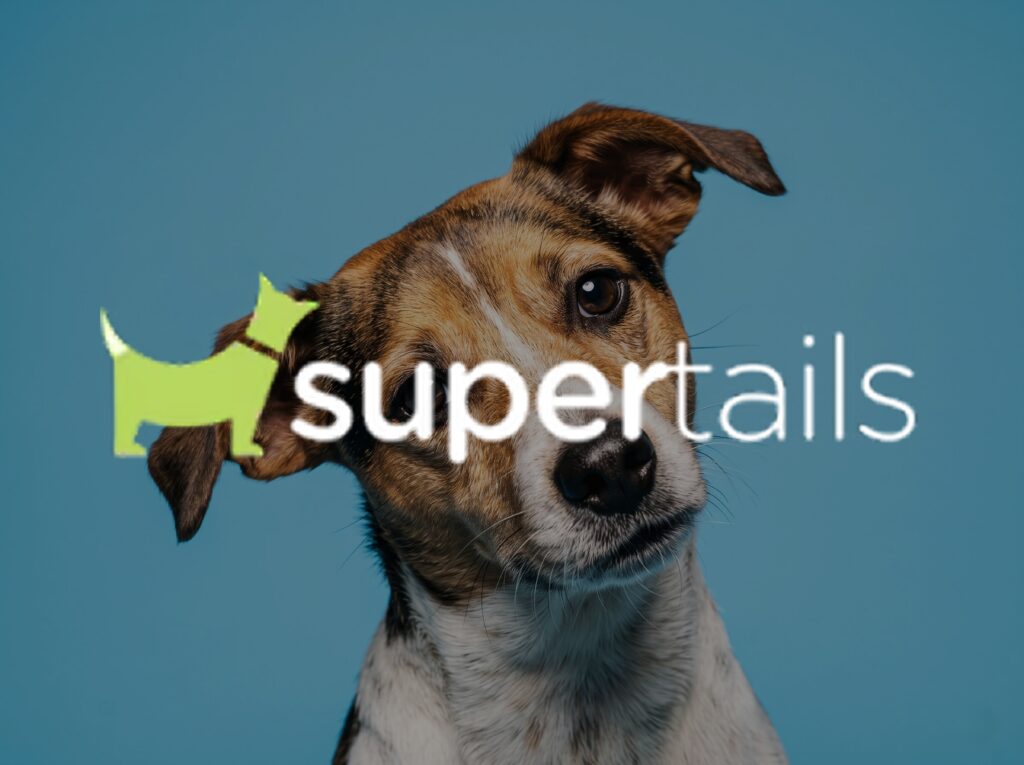 How Supertails lifted brand engagement 60% with live monitoring